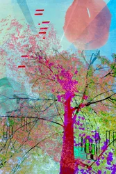 Vibrant Abstract Tree