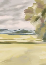 Golden Field Serenity