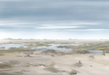 Misty Wetland Landscape