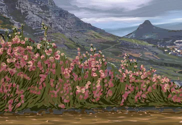 Pink Flowers Mountain Vista