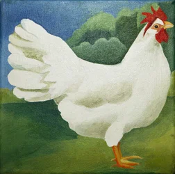 Cockerel
