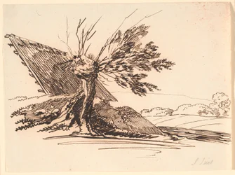 An Old Pollarded Willow and Half of a Hut