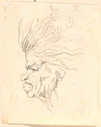 A Medusa-like Woman