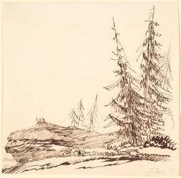 A Rock Outcrop with Pine Trees