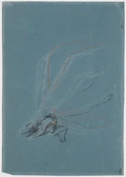 Study of Legs and Feet for the Portrait of Madame de Prangins