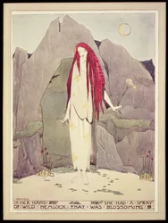 Illustration from 