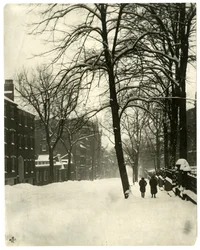 Mt Vernon Street, Boston