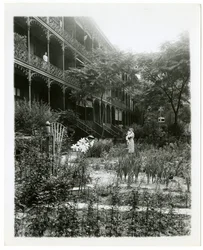 Rhinelander House gardens, W 11th St, Greenwich Village, New York, USA, c.1905-38