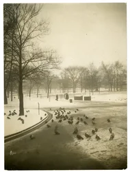 Uncommonly cold in the Common, Boston, USA