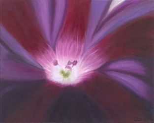 Purple Flower Glow