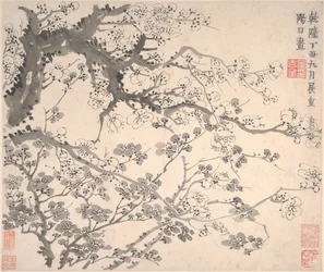 Plum Blossoms