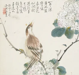 A Chinese Hwamei, 1857