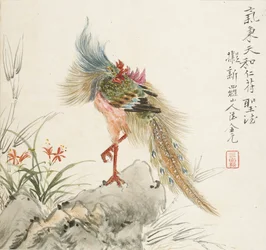 A Phoenix Standing on a Rock