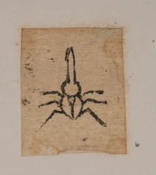 Insect