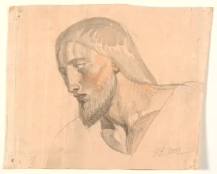 Study of Head