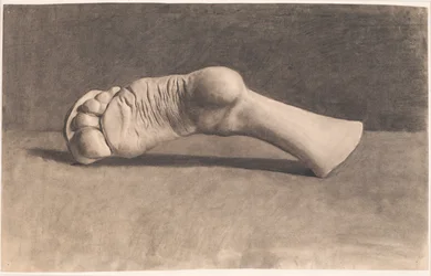 Drawing After Plaster. A Foot
