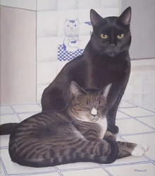 Stray and Daisie in the Kitchen
