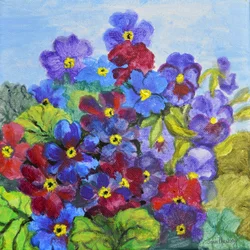 Blue Primroses