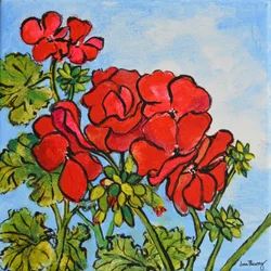 Geranium