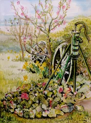 The Garden Pump