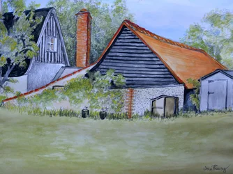 View across the Neighbours Garden, 2016
