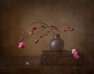 Cherry Blossom Still Life