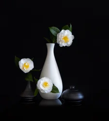 White Camellias Still Life