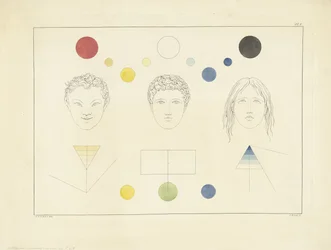 Three Facial Types with Corresponding Colors