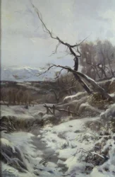 Winter