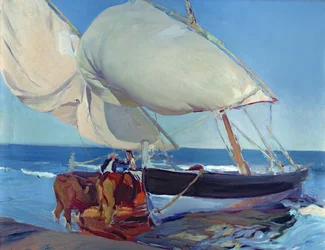 Sailing Boats