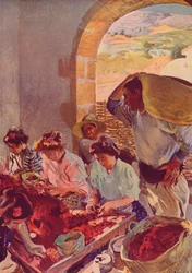 The Preparation of Dry Grapes, 1890