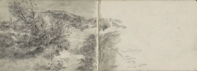 Dune Landscape