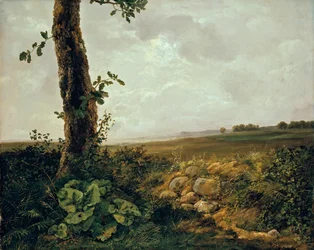 View near Præstø