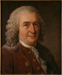 Portrait of Carl Linnaeus