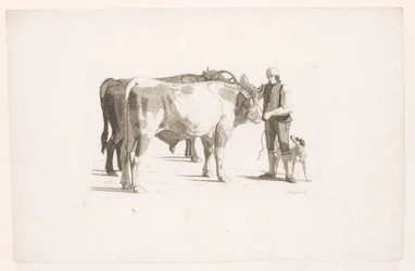 Man and a Dog Next to Two Oxen with a Yoke