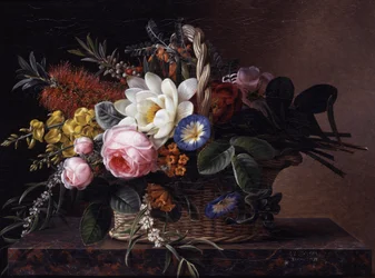 Still Life of Callistemons, Lilies, Brooms, Roses and Convolvulus