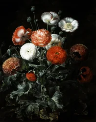 Exotic Poppies