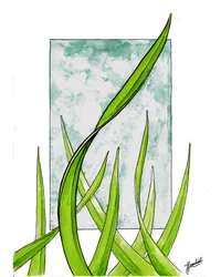Fresh Green Growth