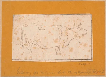 Roaring Cow