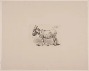 A Donkey Tormented by Flies
