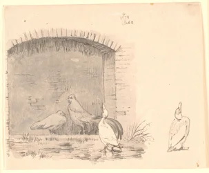 The Chickens and the Ducks. Right: Study of a Duck Enjoying the Rain