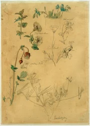 J. Th. Lundbye, Plant Study