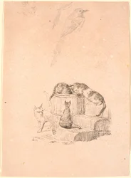The Cats. Above, Pencil Study of a Cat