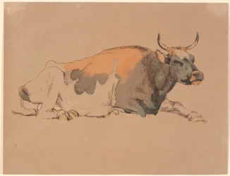 Lying Red and Black Spotted Cow