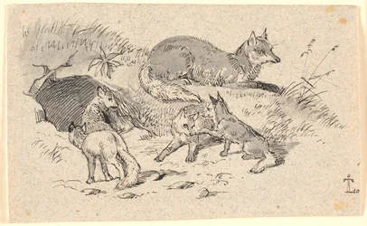 The Fox
