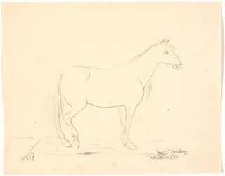 Standing Horse in Profile Right