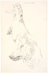 Study after Antique Sculptures: Boar