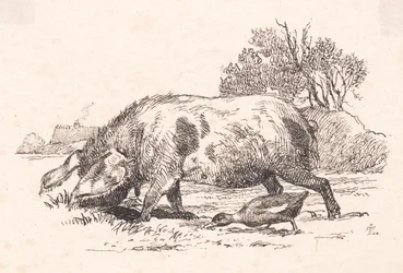 The Pig and the Duck