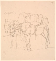 Two Horses with Packs