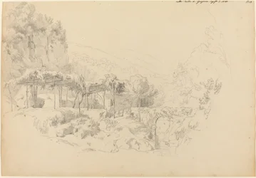 A Shady Arbor in the Valley of Gragnano